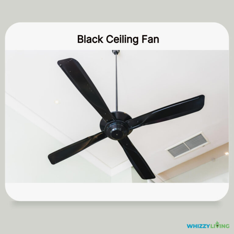 15 Top-notch Ceiling Fan Colors for Modern White Ceilings