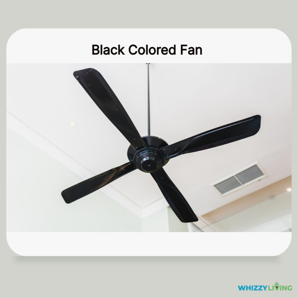 Black Colored Fan for Gray Walls