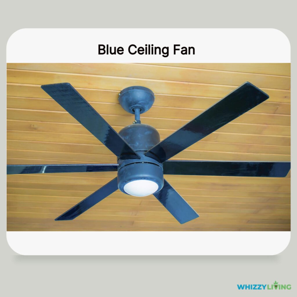 Blue Ceiling Fan for Gray Walls