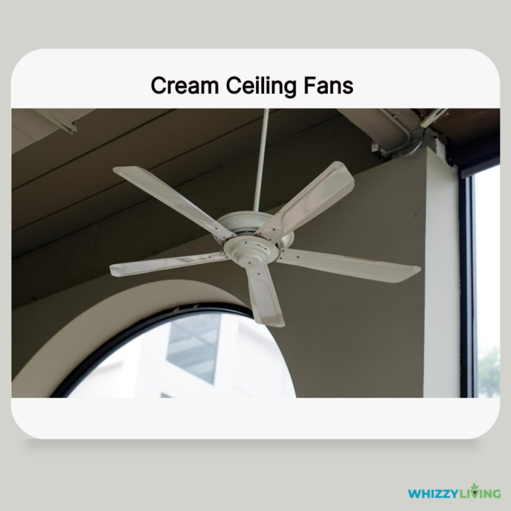 Cream Fan with Dark Gray Walls