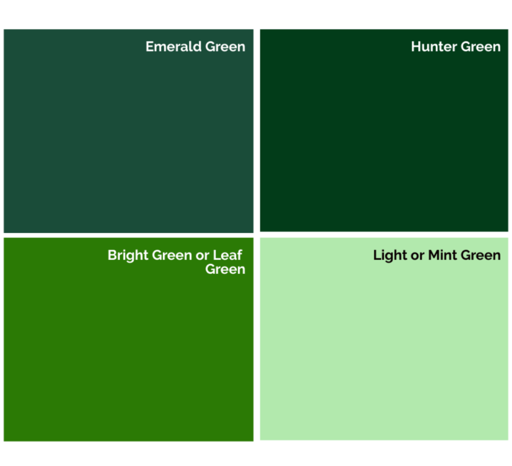 Different Shades of Green Color