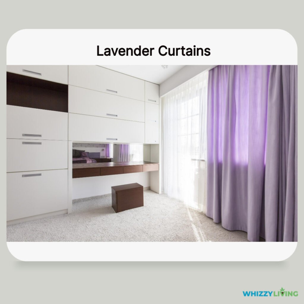 Lavender Curtains
