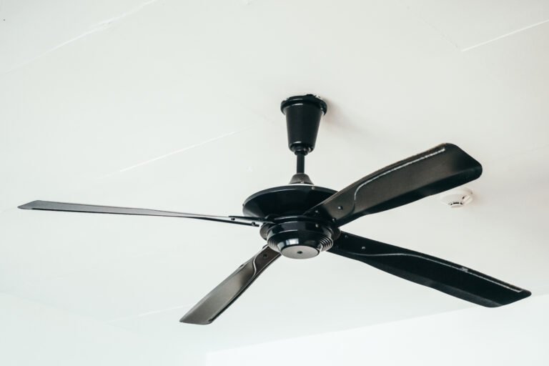 Stylish Ceiling Fan for White Ceilings