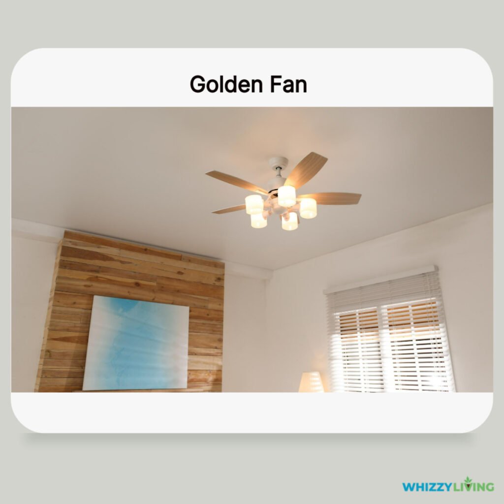 Yellow or Gold Fan with Gray Walls