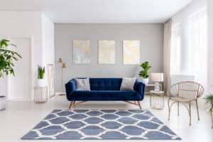 Trendy Rug with a Blue Couch