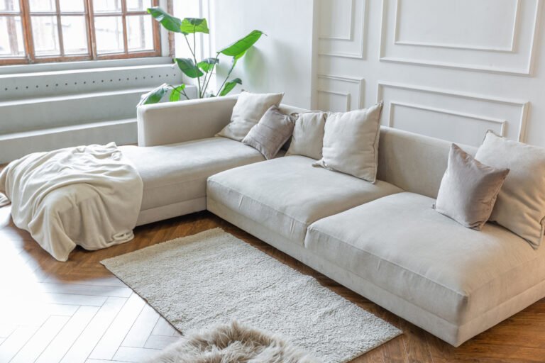 Trendy Rug with White Couch