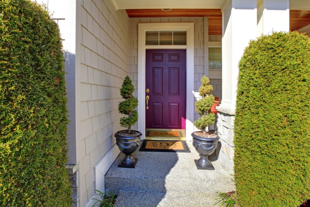 Flashy Purple Front Door