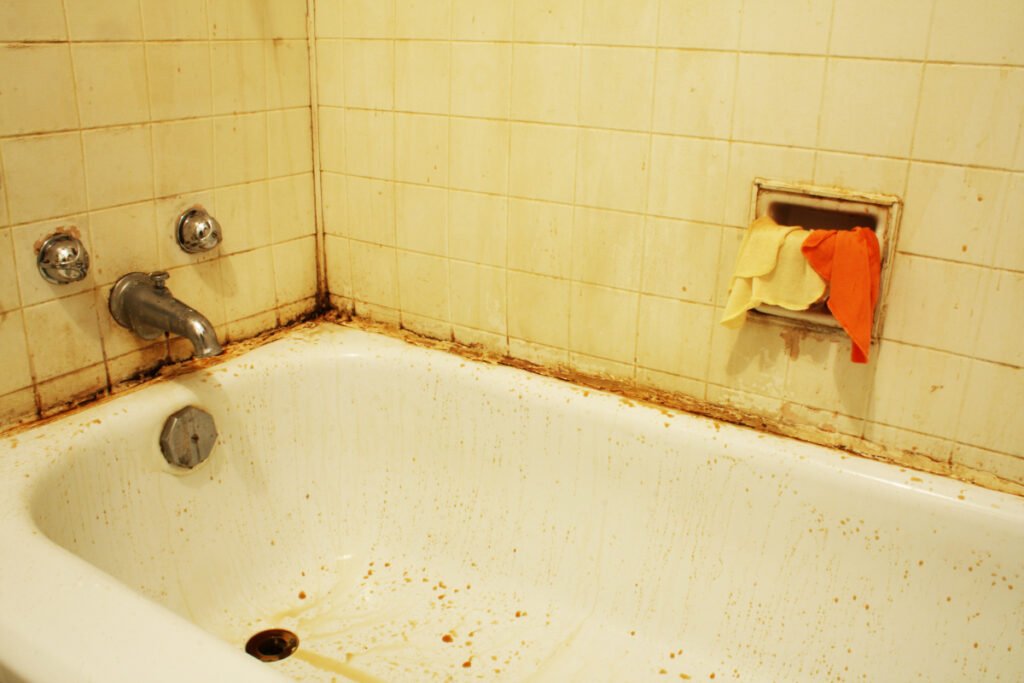 An Old Rusty Bathtub