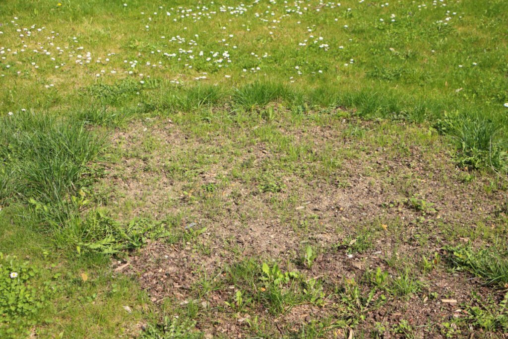 Ghost Print in a Lawn