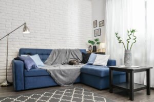 Living-room-with-Blue-Couch