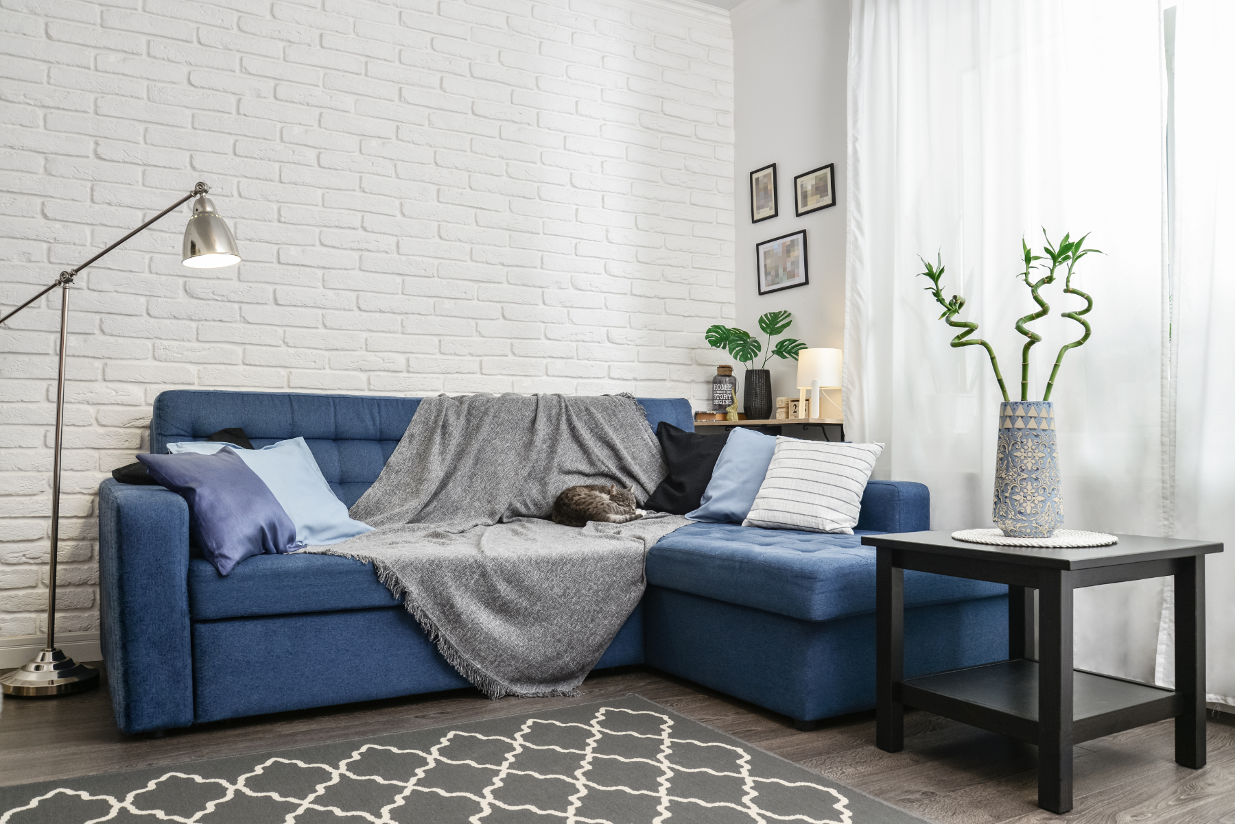 10 Ideal Curtain Colors for Your Blue Couch (With Images)